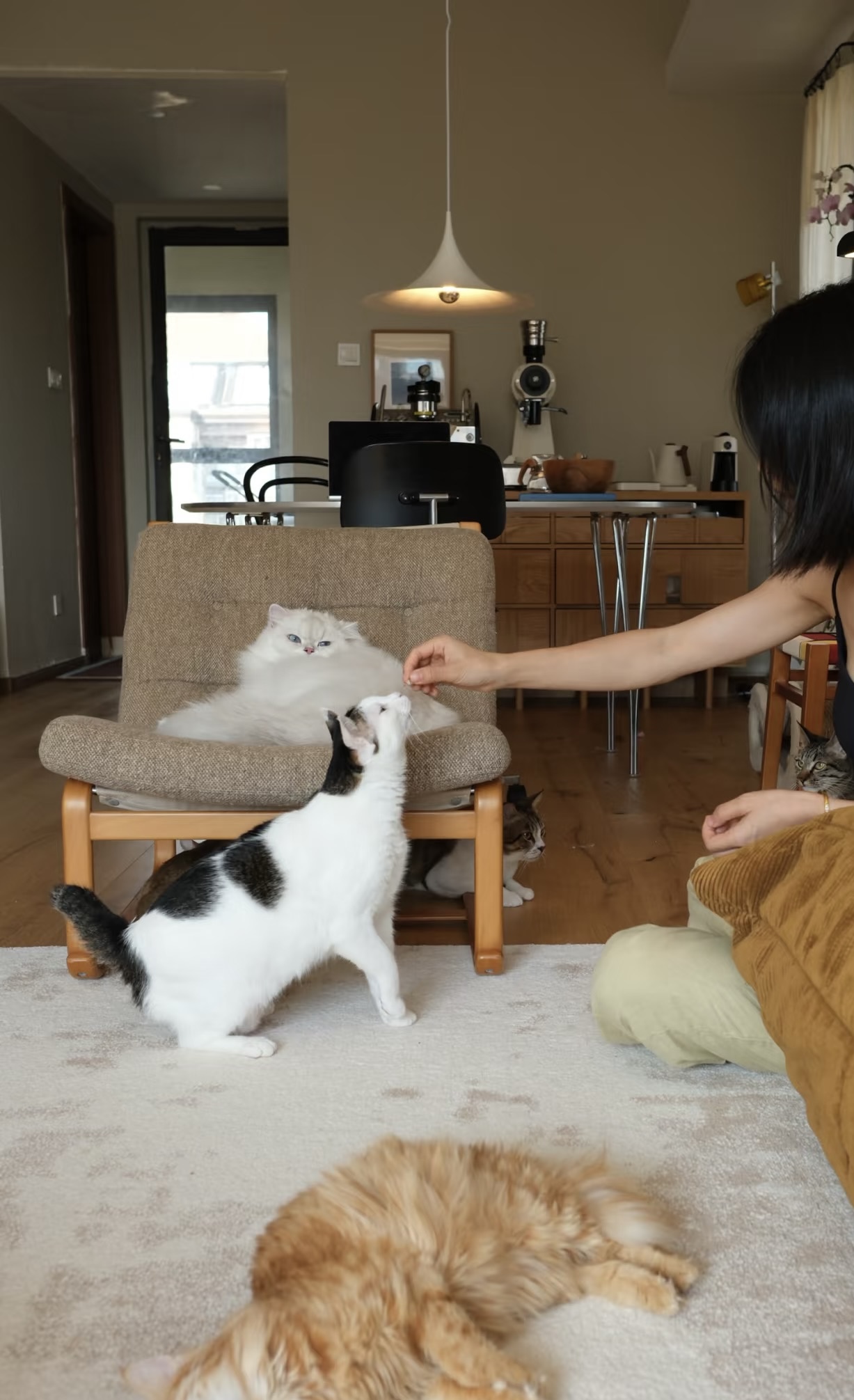家でペットと過ごす日常の様子